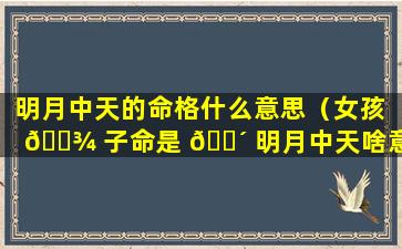 明月中天的命格什么意思（女孩 🌾 子命是 🐴 明月中天啥意思）